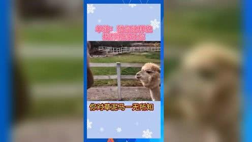 娱乐吃瓜Jerry