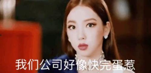 吃瓜娱乐社赵茹珍,吃瓜娱乐社的“瓜王”传奇